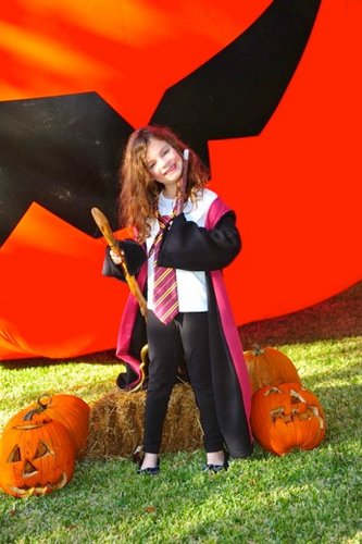 2011-10-15.jpg