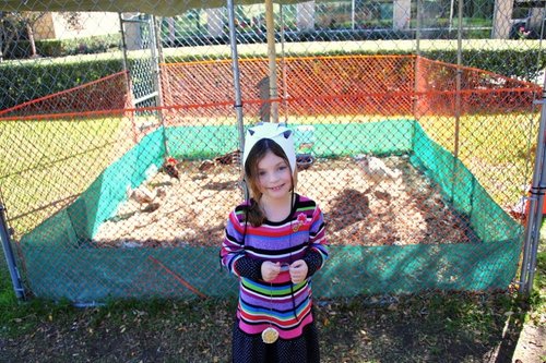 2011-11-32.jpg